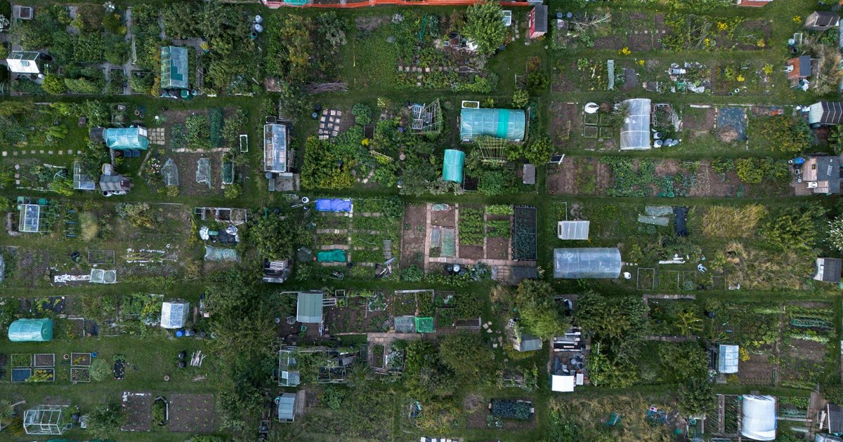 How to Vet a Community Garden Before You Join