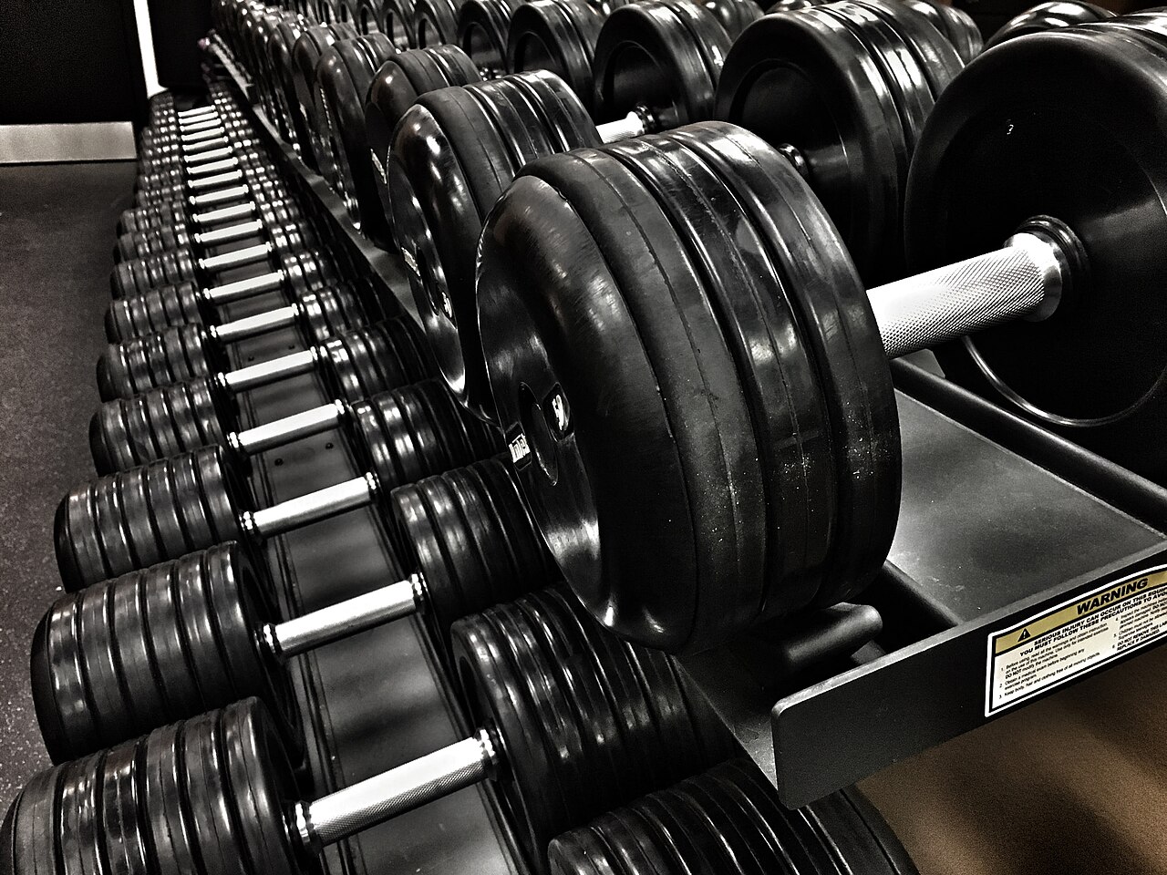 How to Vet a Personal Trainer Before You Sign Up