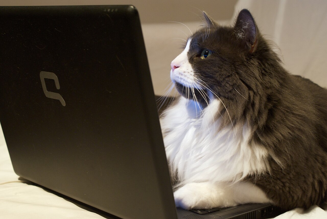 What Actually Shows Up When You Google Yourself